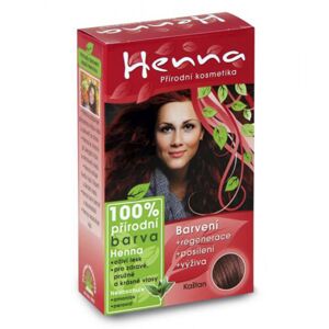 Henna přírodní barva na vlasy KAŠTAN 33g
